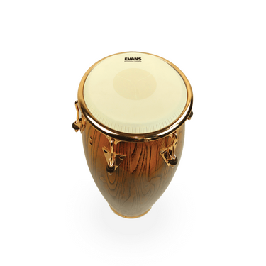 Parche Evans P/conga 11